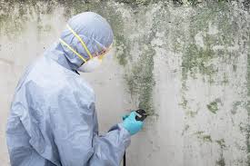 Mold Removal for HVAC Installations in Hartford, AL